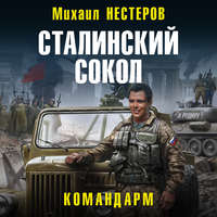 Михаил Нестеров. Сталинский сокол. Командарм