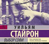 Уильям Стайрон. Выбор Софи