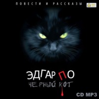 Эдгар Аллан По. Черный кот. Повести и рассказы