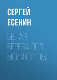 . Белая береза под моим окном…