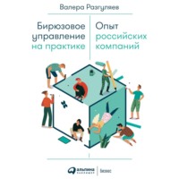 Валера Разгуляев. Бирюзовое управление на практике