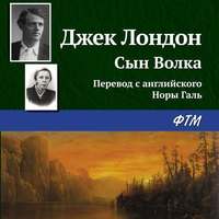 . Сын Волка