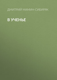 Дмитрий Мамин-Сибиряк. В ученье