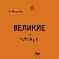 Анатолий Белкин. Великие и мелкие