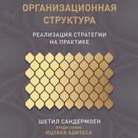 Шетил Сандермоен. Организационная структура