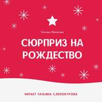 Татьяна Полякова. Сюрприз на Рождество