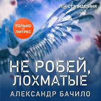Александр Бачило. Не робей, лохматые!