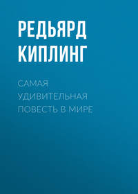 . Самая удивительная повесть в мире
