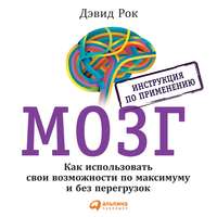 Дэвид Рок. Мозг. Инструкция по применению. Как использовать свои возможности по максимуму и без перегрузок