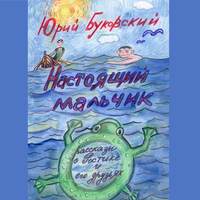 . Настоящий мальчик. Рассказы о Ростике и его друзьях
