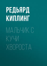 . Мальчик с кучи хвороста