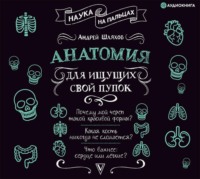 . Анатомия для ищущих свой пупок