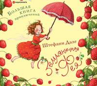 . Земляничная фея. Большая книга приключений