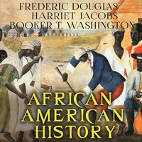 Harriet Ann Jacobs. African American History