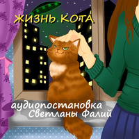 Светлана Фалий. Жизнь кота