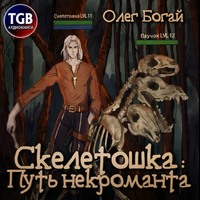 Олег Богай. Скелетошка: Путь некроманта