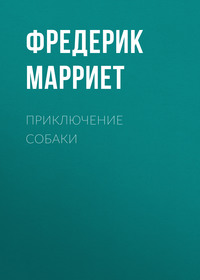 . Приключение собаки