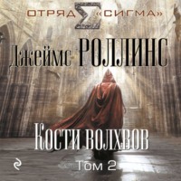 . Кости волхвов. Том 2