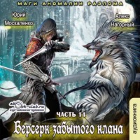 . Берсерк забытого клана. Маги Аномалии Разлома