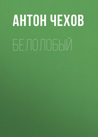 . Белолобый