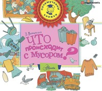 Дмитрий Вишневский. Что происходит с мусором?