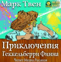. Приключения Гекельберри Финна