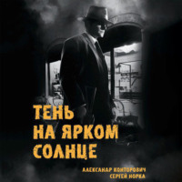 . Тень на ярком солнце