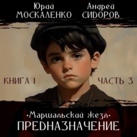 Андрей Сидоров. Предназначение. Книга 1. Часть 3