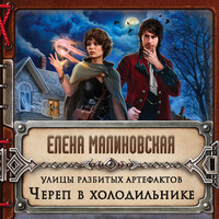 Елена Малиновская. Улицы разбитых артефактов. Череп в холодильнике