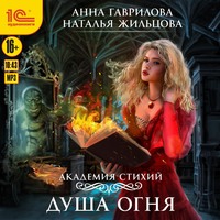 . Академия Стихий. Душа Огня
