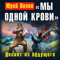 Юрий Валин. «Мы одной крови». Десант из будущего