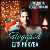 . Подарок для инкуба