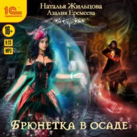 . Академия магического права. Брюнетка в осаде