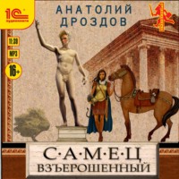 . Самец взъерошенный