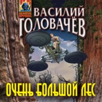 . Очень большой лес