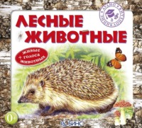 . Лесные животные