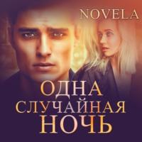 . Одна случайная ночь