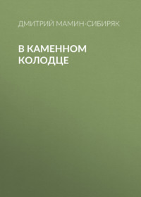 Дмитрий Мамин-Сибиряк. В каменном колодце