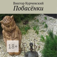 Виктор Курчевский. Побасёнки