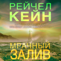 Рейчел Кейн. Мрачный залив