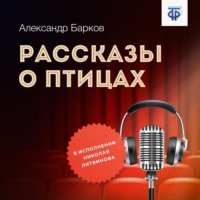 Александр Барков. Рассказы о птицах