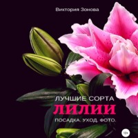 Виктория Зонова. Лилии. Лучшие сорта