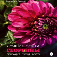 . Георгины. Лучшие сорта