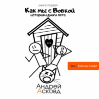 . Как мы с Вовкой. История одного лета. Книга первая