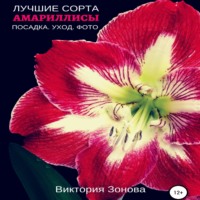 . Амариллисы. Лучшие сорта