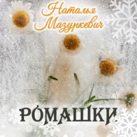 Наталья Мазуркевич. Ромашки