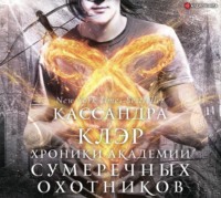 Морин Джонсон. Академия Сумеречных охотников. Хроники