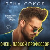 Лена Сокол. Очень плохой профессор