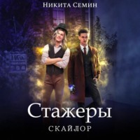 Никита Семин. Скайлор. Стажеры