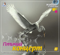 . Птичий концерт